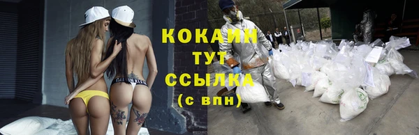 ГАЛЛЮЦИНОГЕННЫЕ ГРИБЫ Баксан