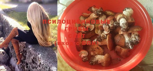 ГАЛЛЮЦИНОГЕННЫЕ ГРИБЫ Баксан