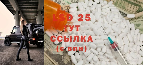 ГАЛЛЮЦИНОГЕННЫЕ ГРИБЫ Баксан