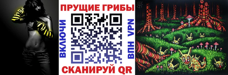 Псилоцибиновые грибы Cubensis  Каргат 